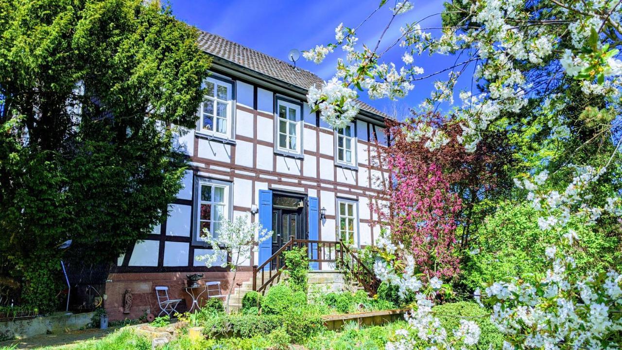 Ferien Im Pfarrhaus Villa Bad Wildungen Exterior photo